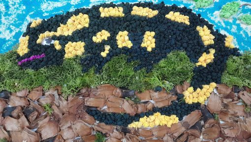 Międzynarodowy Konkurs Plastyczny  „MIESZKAM W BESKIDACH”