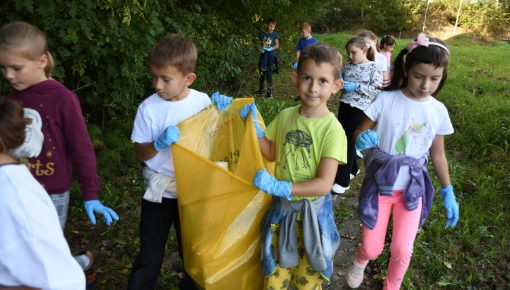 Na Straży Czystej Ziemi