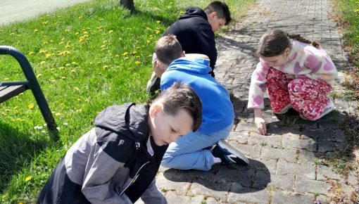 WIOSENNIE I EKOLOGICZNIE!